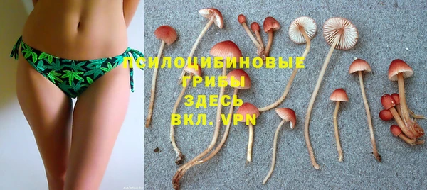 мяу мяу мука Балабаново