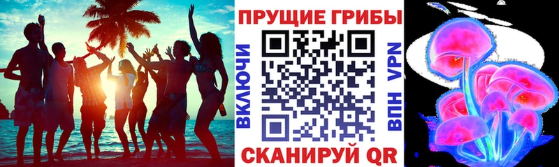 Галлюциногенные грибы Magic Shrooms Куйбышев