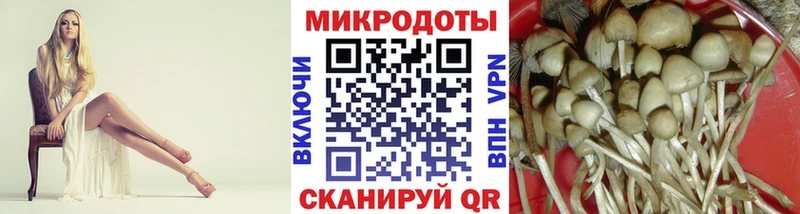 Псилоцибиновые грибы Magic Shrooms  Куйбышев 
